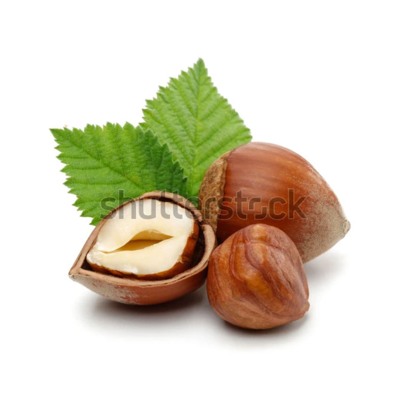 Swiss Premium Hazelnut